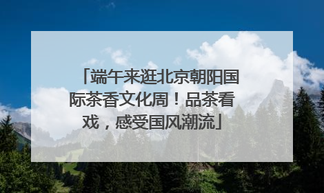端午来逛北京朝阳国际茶香文化周！品茶看戏，感受国风潮流