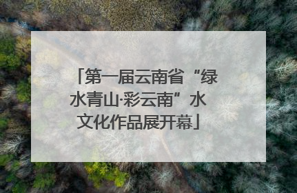 第一届云南省“绿水青山·彩云南”水文化作品展开幕