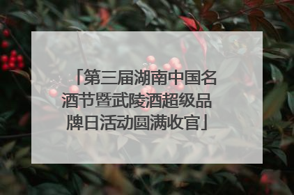 第三届湖南中国名酒节暨武陵酒超级品牌日活动圆满收官