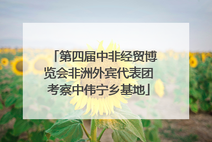 第四届中非经贸博览会非洲外宾代表团考察中伟宁乡基地
