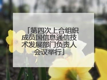 第四次上合组织成员国信息通信技术发展部门负责人会议举行