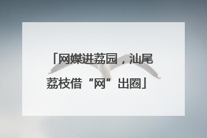 网媒进荔园，汕尾荔枝借“网”出圈