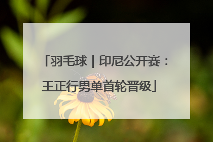 羽毛球｜印尼公开赛：王正行男单首轮晋级