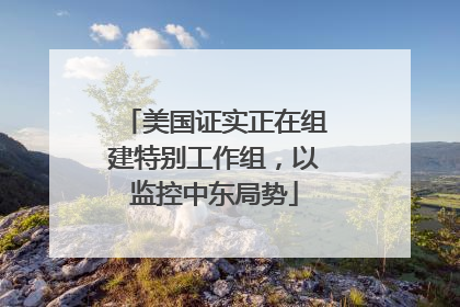 美国证实正在组建特别工作组，以监控中东局势