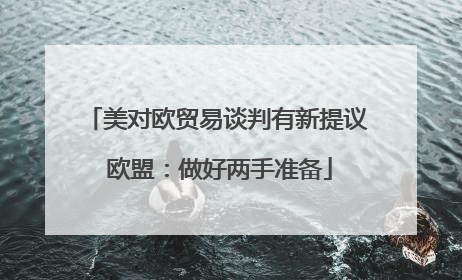 美对欧贸易谈判有新提议 欧盟：做好两手准备