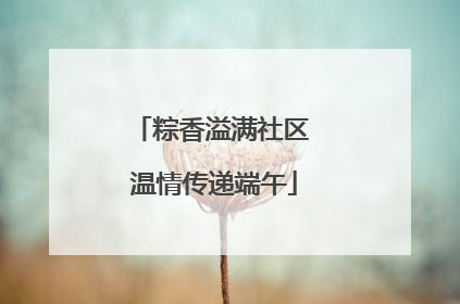 粽香溢满社区 温情传递端午