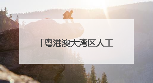 粤港澳大湾区人工智能产业创新联盟成立，南沙打造全球AI产业新高地