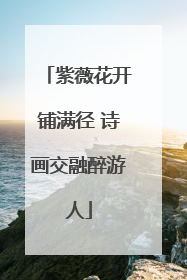 紫薇花开铺满径 诗画交融醉游人