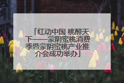 红动中国 桃醉天下——蒙阴蜜桃消费季暨蒙阴蜜桃产业推介会成功举办