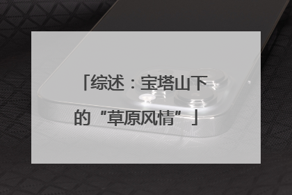 综述：宝塔山下的“草原风情”