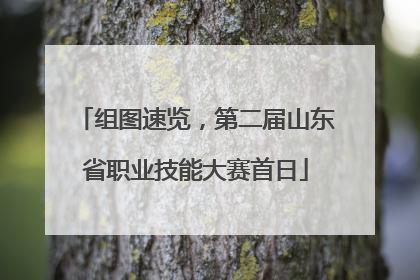 组图速览，第二届山东省职业技能大赛首日