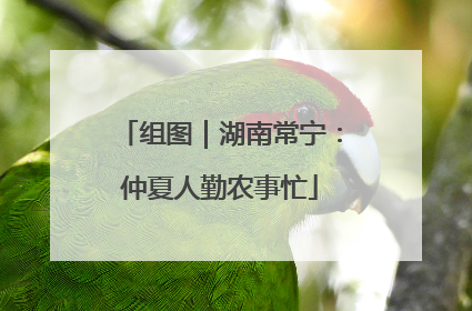 组图｜湖南常宁：仲夏人勤农事忙