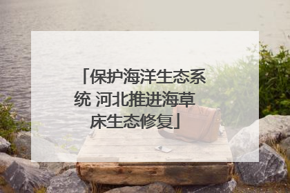 保护海洋生态系统 河北推进海草床生态修复