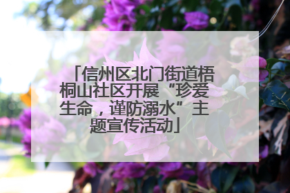 信州区北门街道梧桐山社区开展“珍爱生命，谨防溺水”主题宣传活动
