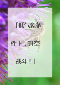 低气象条件下，升空战斗！