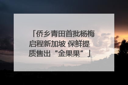 侨乡青田首批杨梅启程新加坡 保鲜提质售出“金果果”