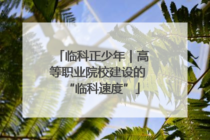 临科正少年｜高等职业院校建设的“临科速度”