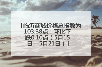 临沂商城价格总指数为103.38点，环比下跌0.10点（5月15日—5月21日）