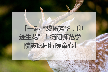 一起“袋拓芳华，印迹生花”！衡阳师范学院志愿同行暖童心