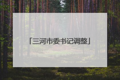 三河市委书记调整