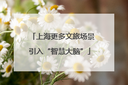 上海更多文旅场景引入“智慧大脑”