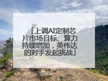 上调AI定制芯片市场目标、算力持续增加，英伟达的对手发起挑战