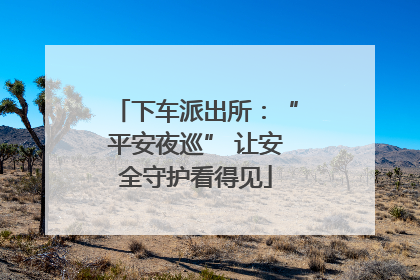 下车派出所：“平安夜巡” 让安全守护看得见