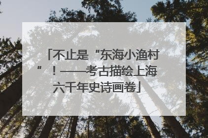不止是“东海小渔村”！——考古描绘上海六千年史诗画卷