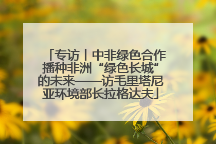专访丨中非绿色合作播种非洲“绿色长城”的未来——访毛里塔尼亚环境部长拉格达夫