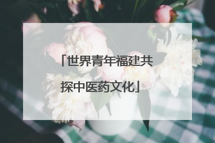 世界青年福建共探中医药文化