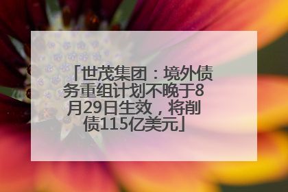 世茂集团：境外债务重组计划不晚于8月29日生效，将削债115亿美元