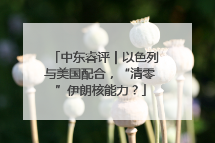 中东睿评｜以色列与美国配合，“清零”伊朗核能力？