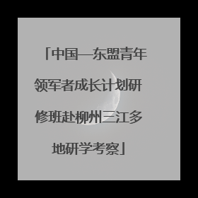 中国—东盟青年领军者成长计划研修班赴柳州三江多地研学考察