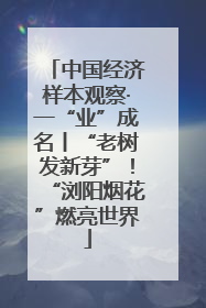 中国经济样本观察·一“业”成名丨“老树发新芽”！“浏阳烟花”燃亮世界