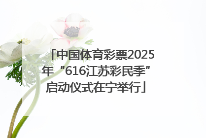 中国体育彩票2025年“616江苏彩民季”启动仪式在宁举行