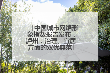中国城市网络形象指数报告发布，泸州：治理、宜居方面的双优典范