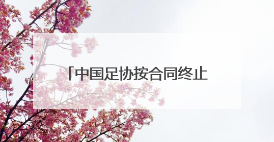 中国足协按合同终止与国足主帅伊万合作