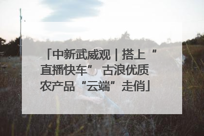 中新武威观｜搭上“直播快车” 古浪优质农产品“云端”走俏
