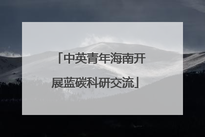 中英青年海南开展蓝碳科研交流