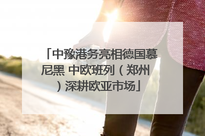 中豫港务亮相德国慕尼黑 中欧班列（郑州）深耕欧亚市场