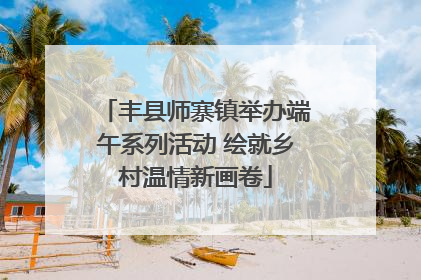 丰县师寨镇举办端午系列活动 绘就乡村温情新画卷
