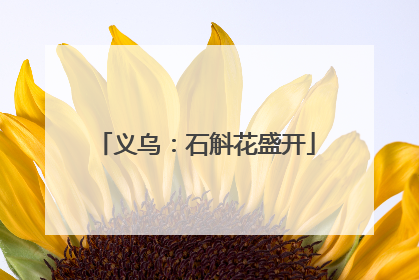 义乌：石斛花盛开