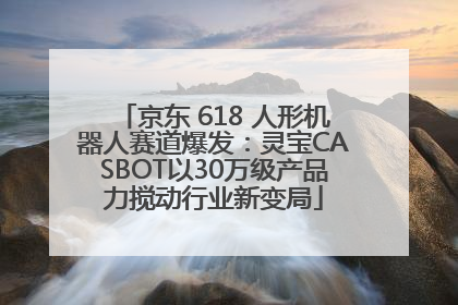 京东 618 人形机器人赛道爆发：灵宝CASBOT以30万级产品力搅动行业新变局