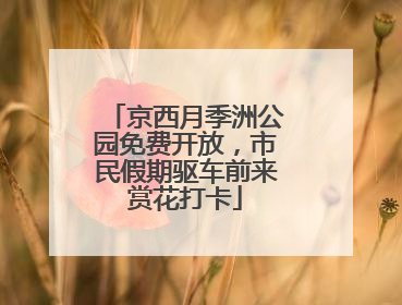 京西月季洲公园免费开放，市民假期驱车前来赏花打卡