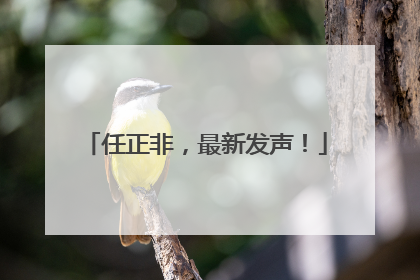 任正非，最新发声！