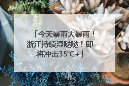 今天暴雨大暴雨！浙江持续湿哒哒！即将冲击35℃+