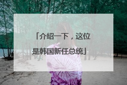 介绍一下，这位是韩国新任总统