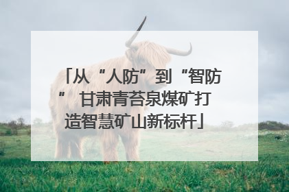 从“人防”到“智防” 甘肃青苔泉煤矿打造智慧矿山新标杆