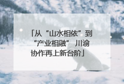 从“山水相依”到“产业相融” 川渝协作再上新台阶