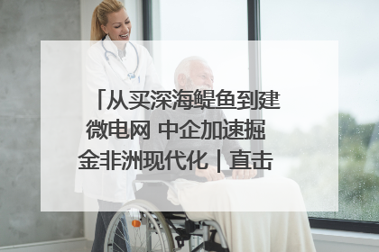 从买深海鳀鱼到建微电网 中企加速掘金非洲现代化｜直击中非经贸博览会